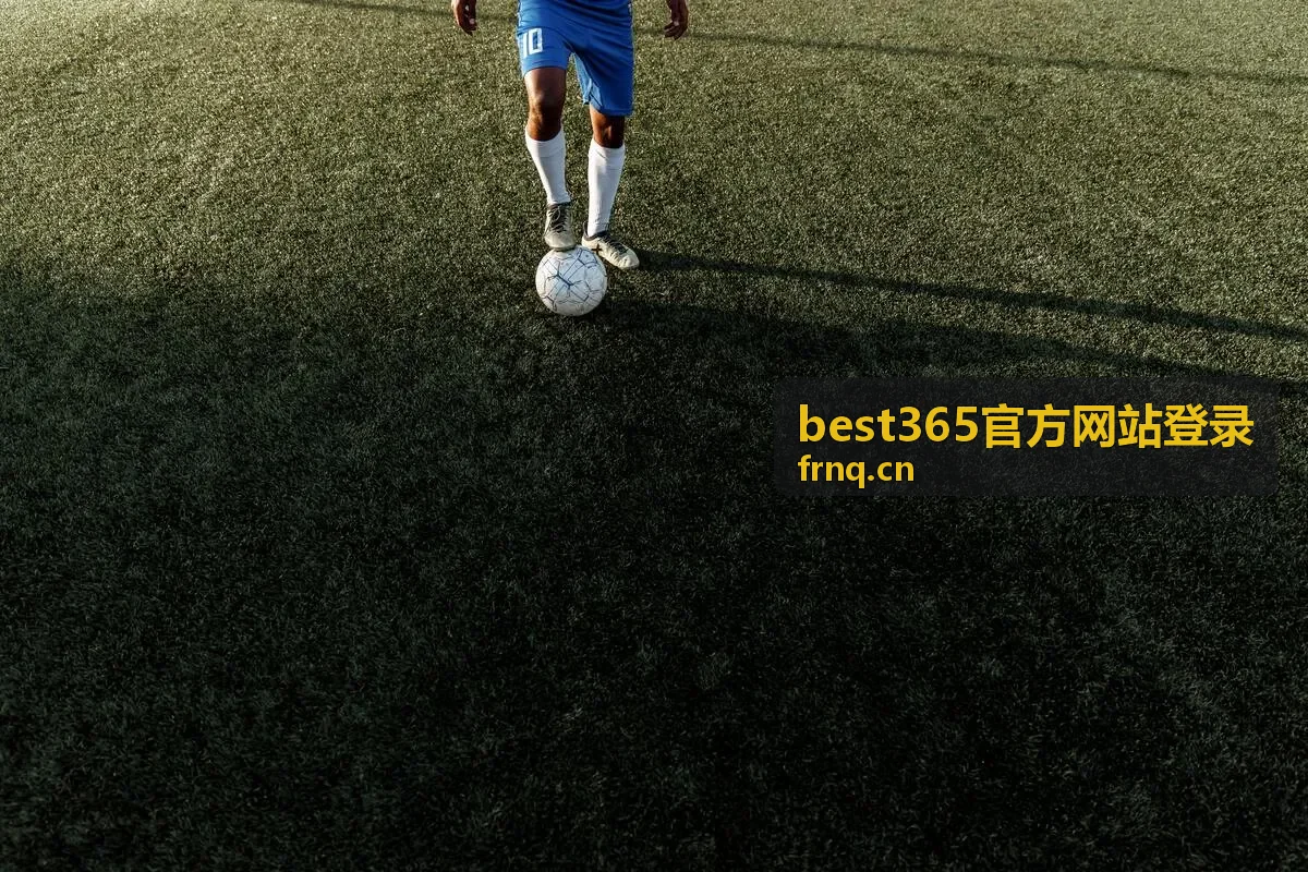 best365官方网站登录 回放与往期内容的整理与补录示意